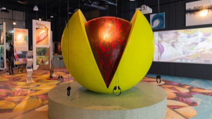 Grenada-highlight-2-420x236